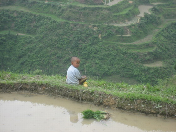 Guizhou cute kid